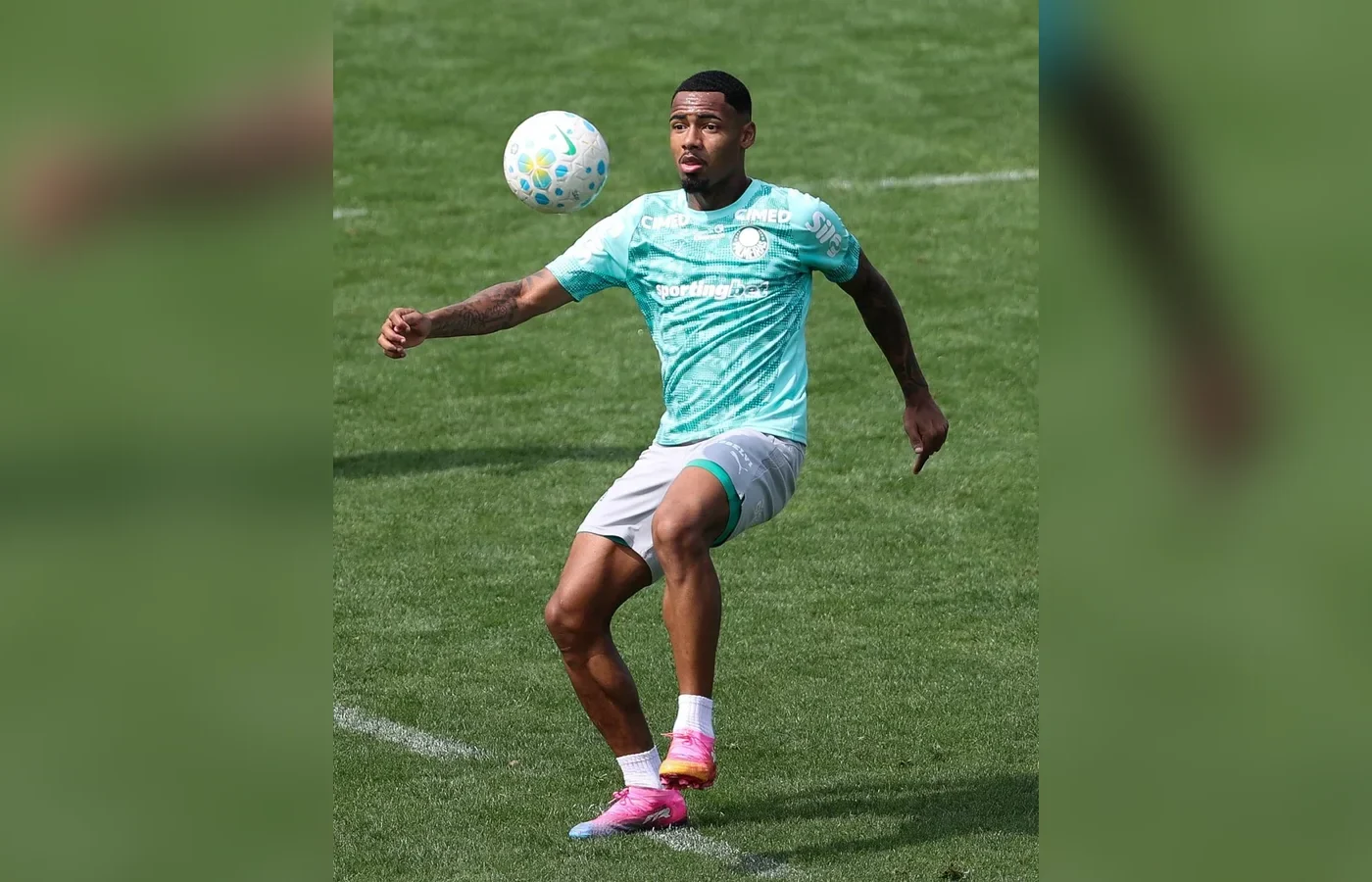 Allan fala sobre ajustes e aposta na evolução do Palmeiras antes de enfrentar o Fluminense