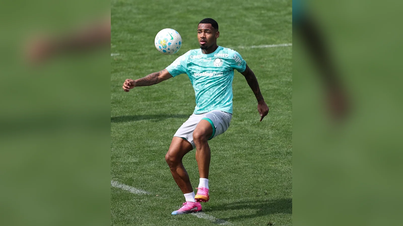 Allan fala sobre ajustes e aposta na evolução do Palmeiras antes de enfrentar o Fluminense